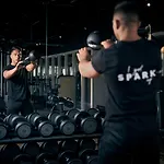 Corendon Amsterdam Schiphol Airport, A Tribute Portfolio 4* Badhoevedorp